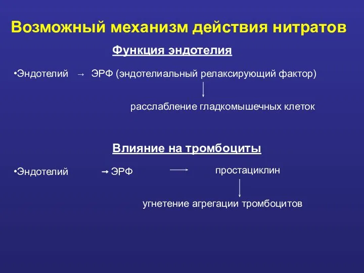 Возможный механизм действия нитратов Функция эндотелия Эндотелий ЭРФ (эндотелиальный релаксирующий фактор)