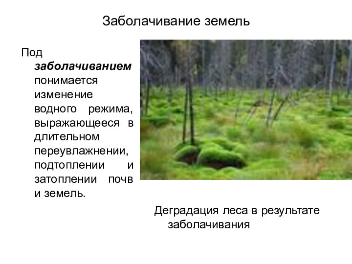 Заболачивание земель Под заболачиванием понимается изменение водного режима, выражающееся в длительном