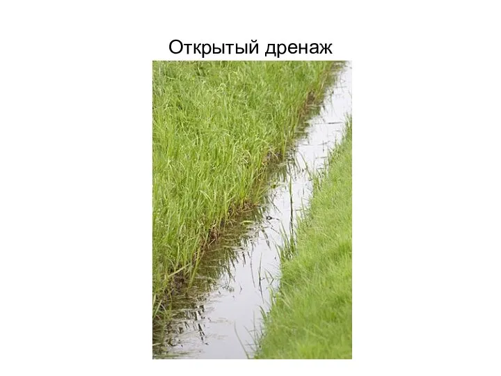 Открытый дренаж