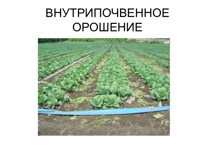 ВНУТРИПОЧВЕННОЕ ОРОШЕНИЕ