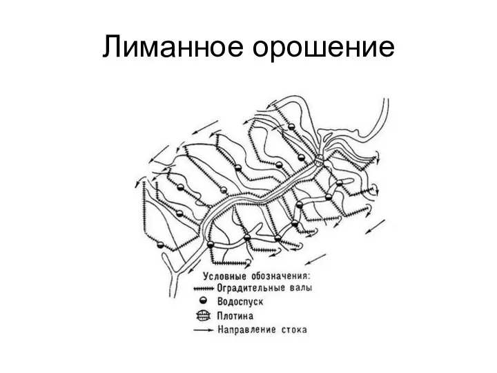 Лиманное орошение