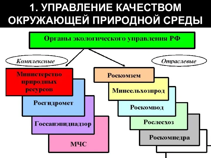 1. УПРАВЛЕНИЕ КАЧЕСТВОМ ОКРУЖАЮЩЕЙ ПРИРОДНОЙ СРЕДЫ