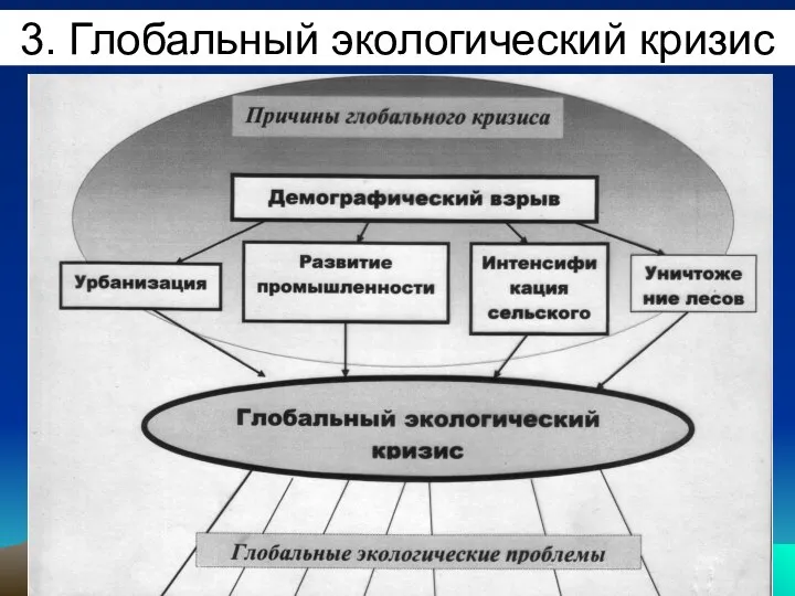 3. Глобальный экологический кризис