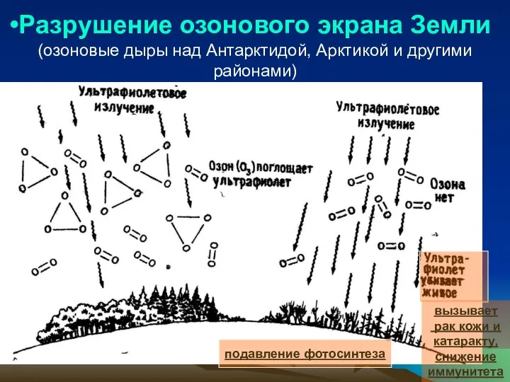 Разрушение озонового экрана Земли (озоновые дыры над Антарктидой, Арктикой и другими