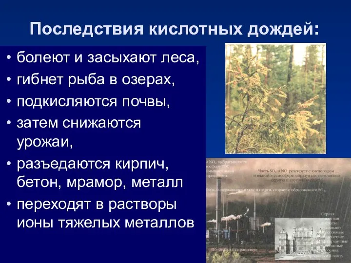 Последствия кислотных дождей: болеют и засыхают леса, гибнет рыба в озерах,