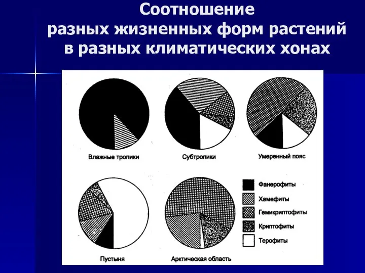 Соотношение разных жизненных форм растений в разных климатических хонах