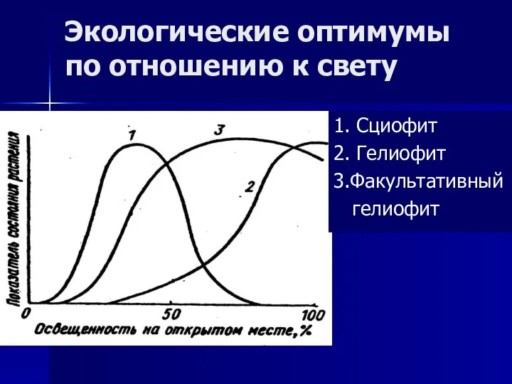 Экологические оптимумы по отношению к свету 1. Сциофит 2. Гелиофит 3.Факультативный гелиофит