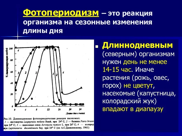 Фотопериодизм – это реакция организма на сезонные изменения длины дня Длиннодневным