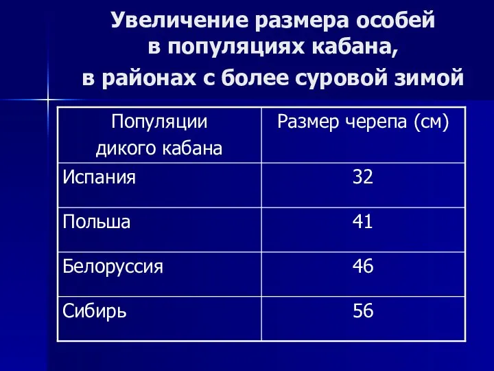 Увеличение размера особей в популяциях кабана, в районах с более суровой зимой