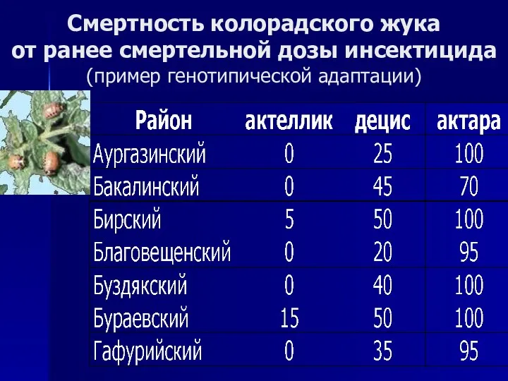 Смертность колорадского жука от ранее смертельной дозы инсектицида (пример генотипической адаптации)