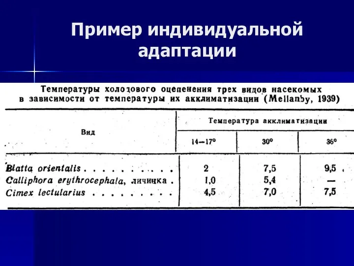 Пример индивидуальной адаптации