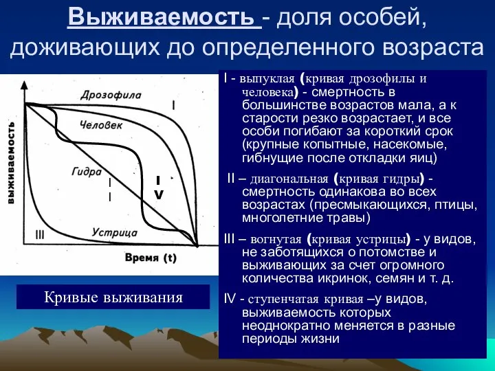 Выживаемость - доля особей, доживающих до определенного возраста I - выпуклая