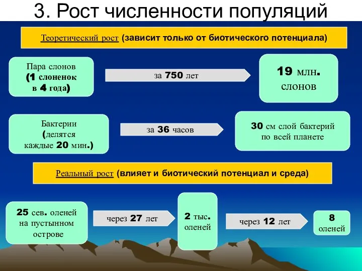 Пара слонов (1 слоненок в 4 года) 19 млн. слонов Бактерии