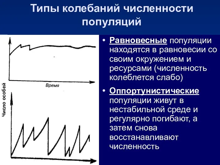 Равновесные популяции находятся в равновесии со своим окружением и ресурсами (численность