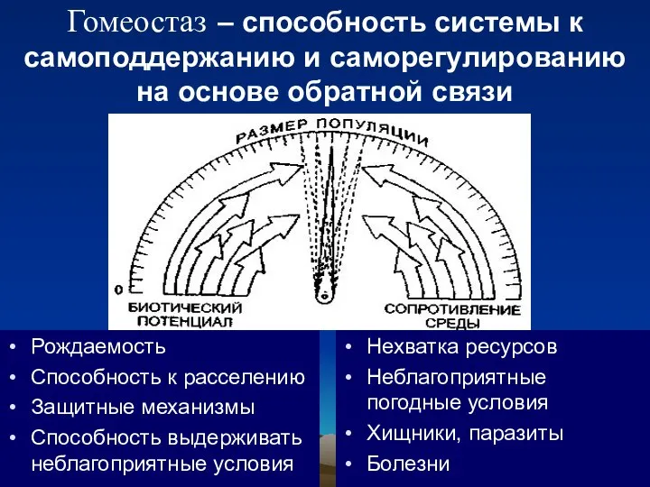 Гомеостаз – способность системы к самоподдержанию и саморегулированию на основе обратной