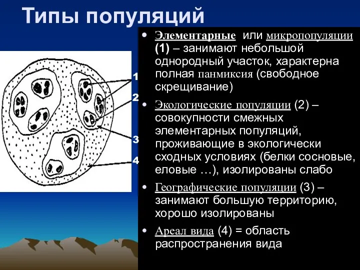 Типы популяций Элементарные или микропопуляции (1) – занимают небольшой однородный участок,