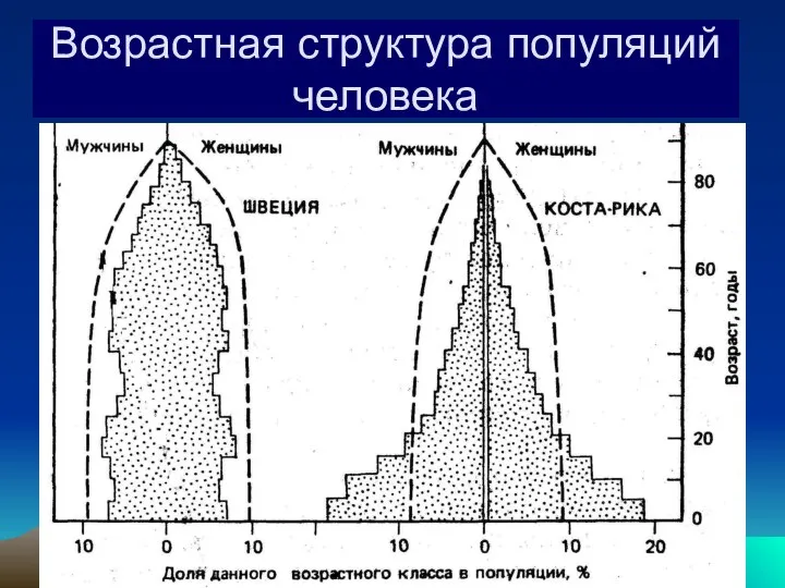 Возрастная структура популяций человека