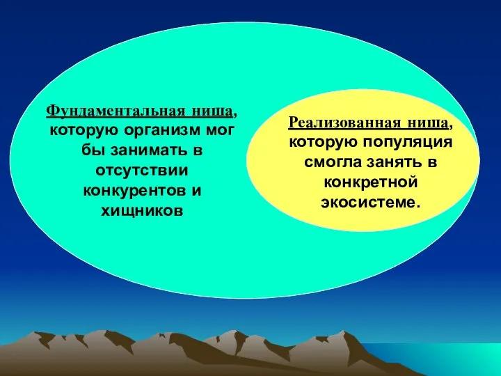 Фундаментальная ниша, которую организм мог бы занимать в отсутствии конкурентов и