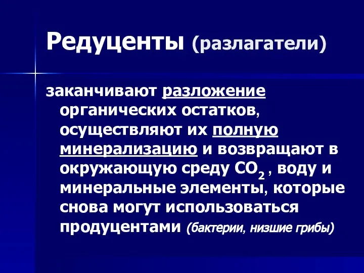 Редуценты (разлагатели) заканчивают разложение органических остатков, осуществляют их полную минерализацию и