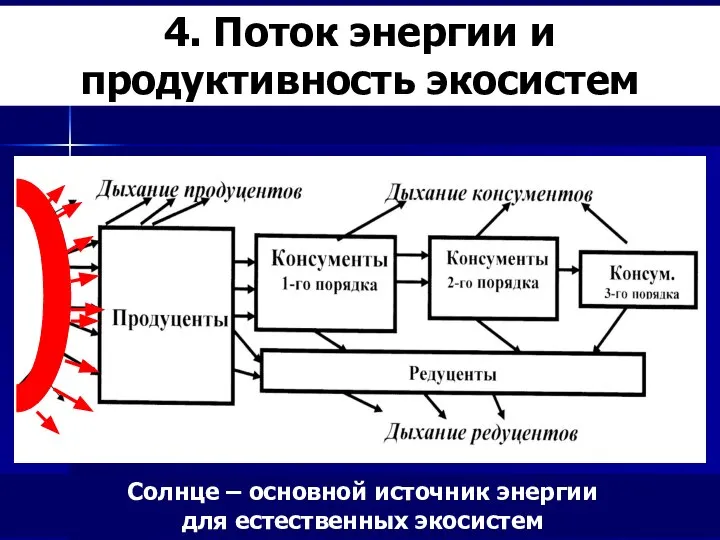 4. Поток энергии и продуктивность экосистем Солнце – основной источник энергии для естественных экосистем