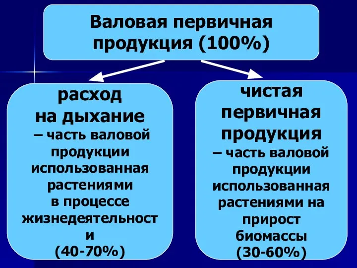 Валовая первичная продукция (100%) расход на дыхание – часть валовой продукции