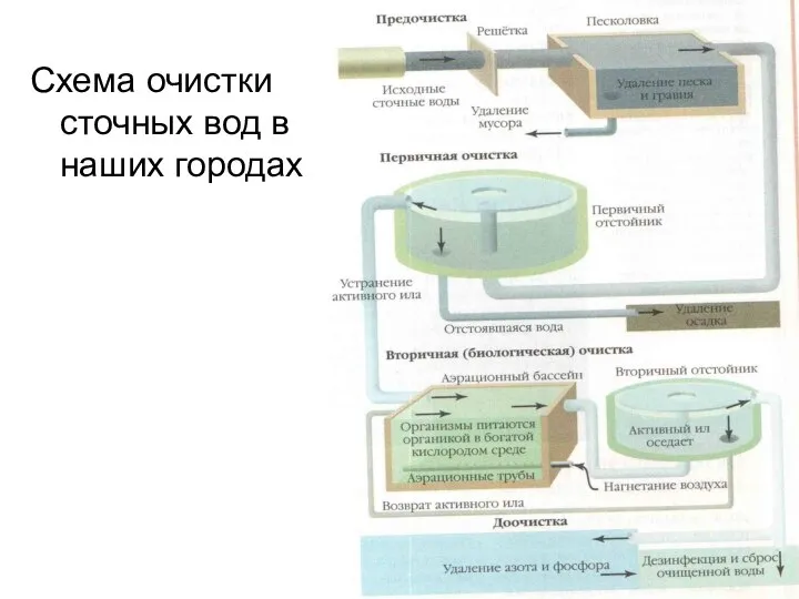 Схема очистки сточных вод в наших городах