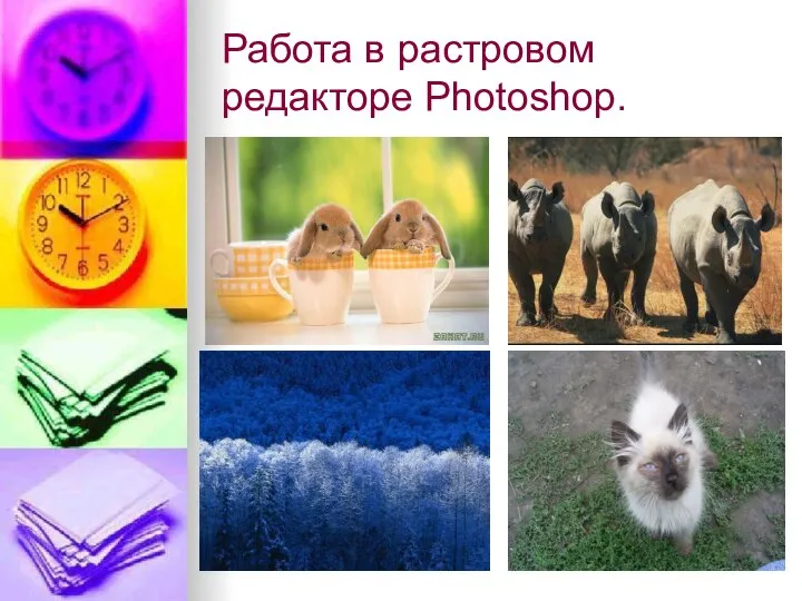 Работа в растровом редакторе Photoshop.