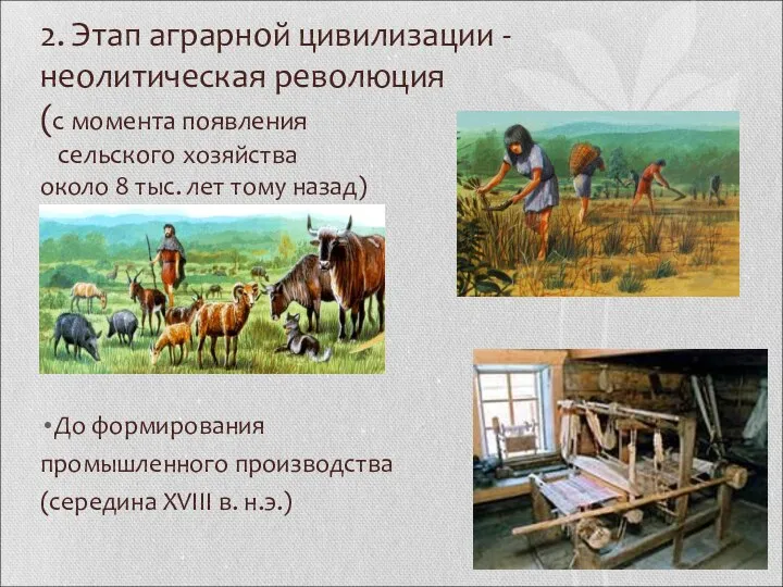 2. Этап аграрной цивилизации - неолитическая революция (с момента появления сельского