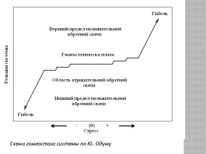 Схема гомеостаза системы по Ю. Одуму