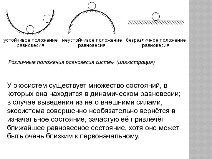 Различные положения равновесия систем (иллюстрация) У экосистем существует множество состояний, в