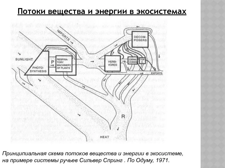 Потоки вещества и энергии в экосистемах Принципиальная схема потоков вещества и