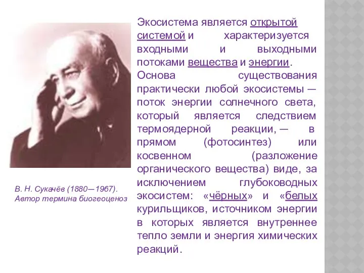 В. Н. Сукачёв (1880—1967). Автор термина биогеоценоз Экосистема является открытой системой