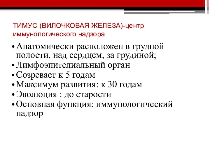 Анатомически расположен в грудной полости, над сердцем, за грудиной; Лимфоэпителиальный орган