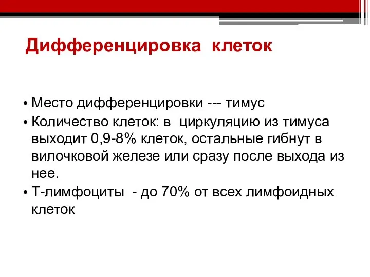 Дифференцировка клеток Место дифференцировки --- тимус Количество клеток: в циркуляцию из