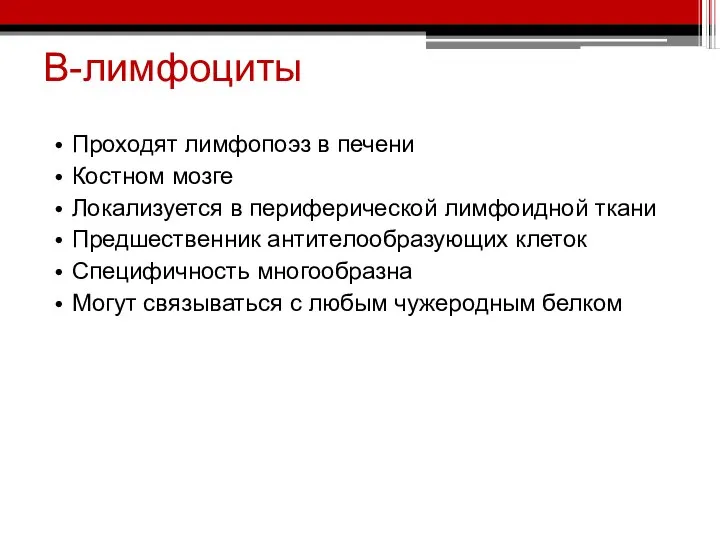 В-лимфоциты Проходят лимфопоэз в печени Костном мозге Локализуется в периферической лимфоидной