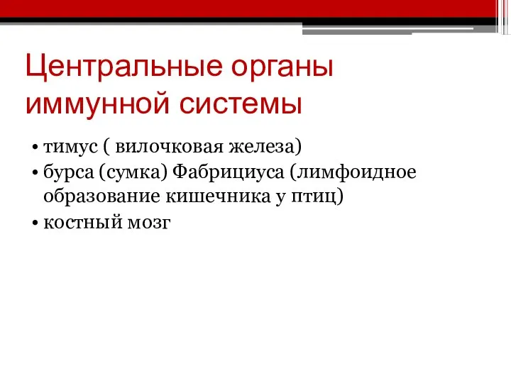 Центральные органы иммунной системы тимус ( вилочковая железа) бурса (сумка) Фабрициуса