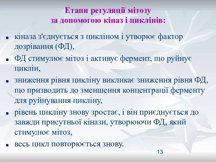 Етапи регуляції мітозу за допомогою кіназ і циклінів: кіназа з'єднується з