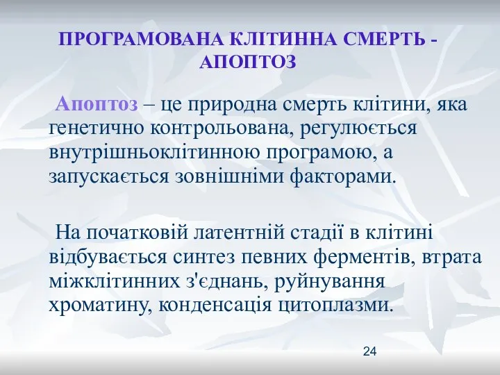 ПРОГРАМОВАНА КЛІТИННА СМЕРТЬ - АПОПТОЗ Апоптоз – це природна смерть клітини,