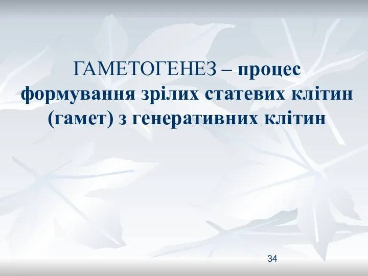 ГАМЕТОГЕНЕЗ – процес формування зрілих статевих клітин (гамет) з генеративних клітин