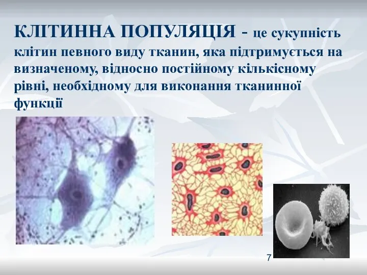 КЛІТИННА ПОПУЛЯЦІЯ - це сукупність клітин певного виду тканин, яка підтримується