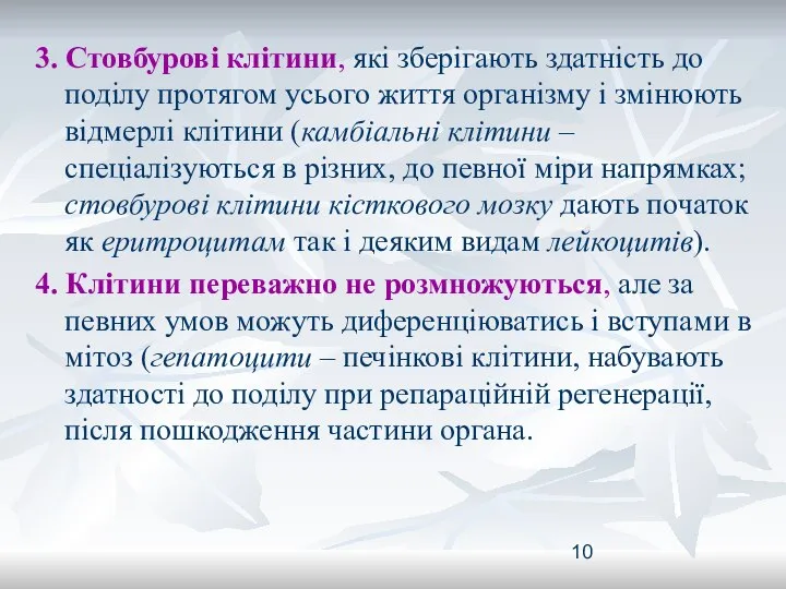 3. Стовбурові клітини, які зберігають здатність до поділу протягом усього життя