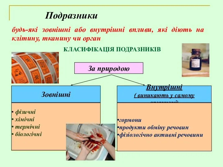 Подразники будь-які зовнішні або внутрішні впливи, які діють на клітину, тканину чи орган КЛАСИФІКАЦІЯ ПОДРАЗНИКІВ