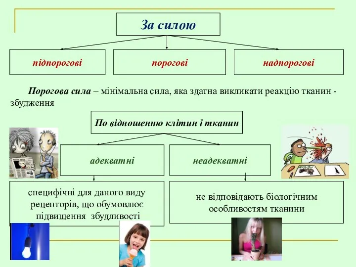 За силою підпорогові порогові надпорогові Порогова сила – мінімальна сила, яка