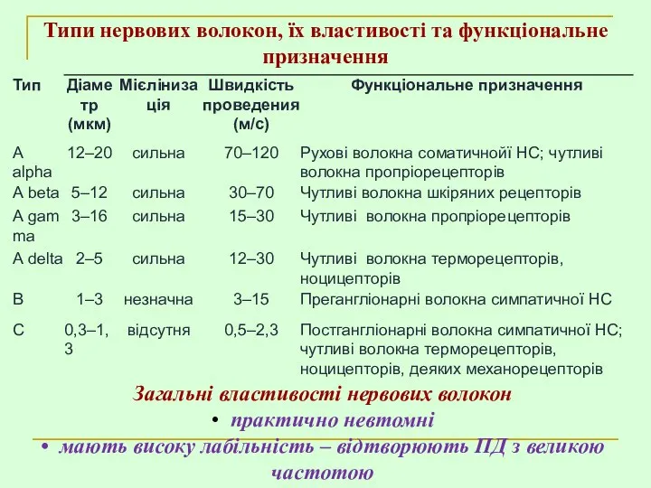 Типи нервових волокон, їх властивості та функціональне призначення Загальні властивості нервових