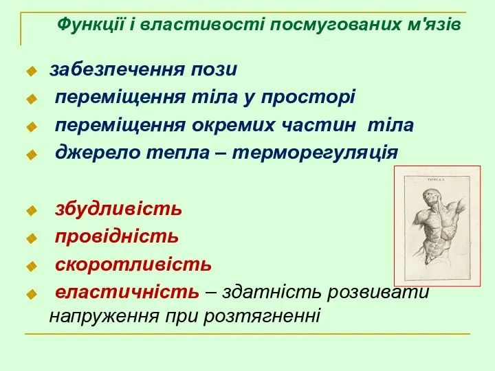 забезпечення пози переміщення тіла у просторі переміщення окремих частин тіла джерело