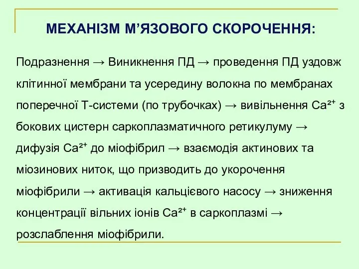 МЕХАНІЗМ М’ЯЗОВОГО СКОРОЧЕННЯ: Подразнення → Виникнення ПД → проведення ПД уздовж