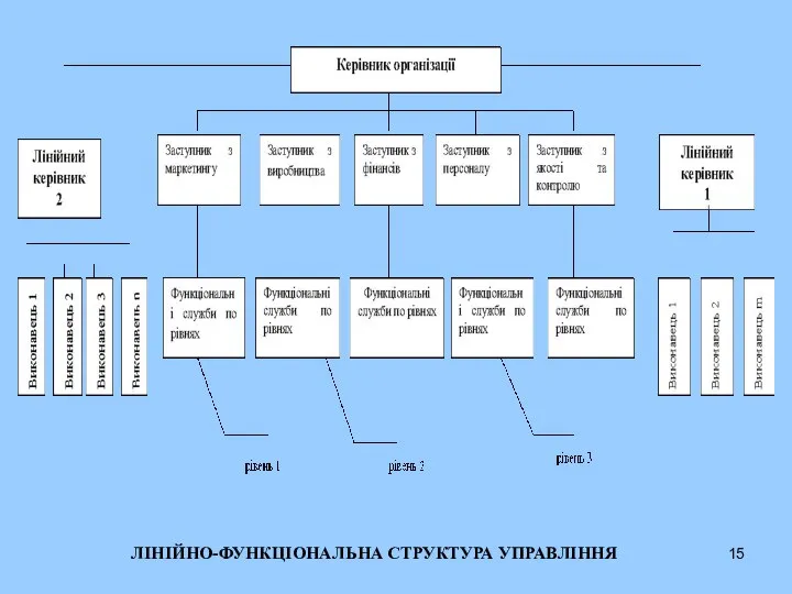 ЛІНІЙНО-ФУНКЦІОНАЛЬНА СТРУКТУРА УПРАВЛІННЯ