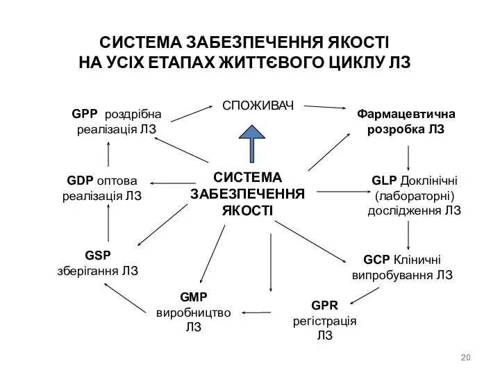 СИСТЕМА ЗАБЕЗПЕЧЕННЯ ЯКОСТІ НА УСІХ ЕТАПАХ ЖИТТЄВОГО ЦИКЛУ ЛЗ СИСТЕМА ЗАБЕЗПЕЧЕННЯ