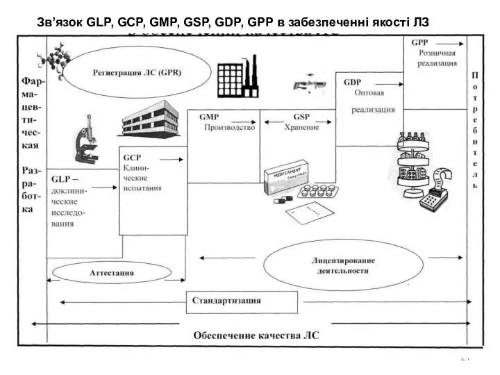 Зв’язок GLP, GCP, GMP, GSP, GDP, GPP в забезпеченні якості ЛЗ