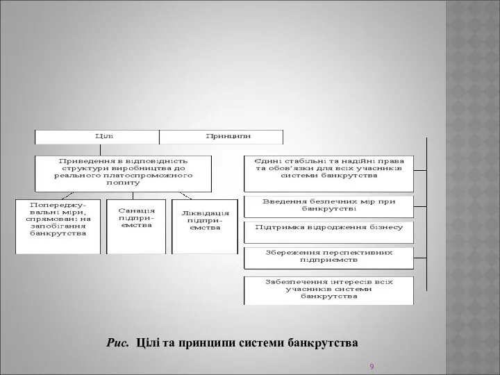 Рис. Цілі та принципи системи банкрутства